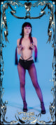 Person wearing black lingerie and purple stockings against a blue background with decorative border.