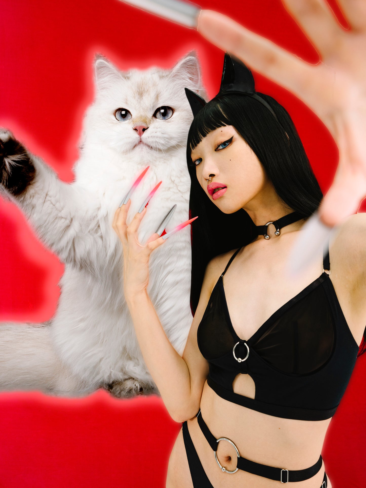 Love Is A Deserter Choker Bralette In Black