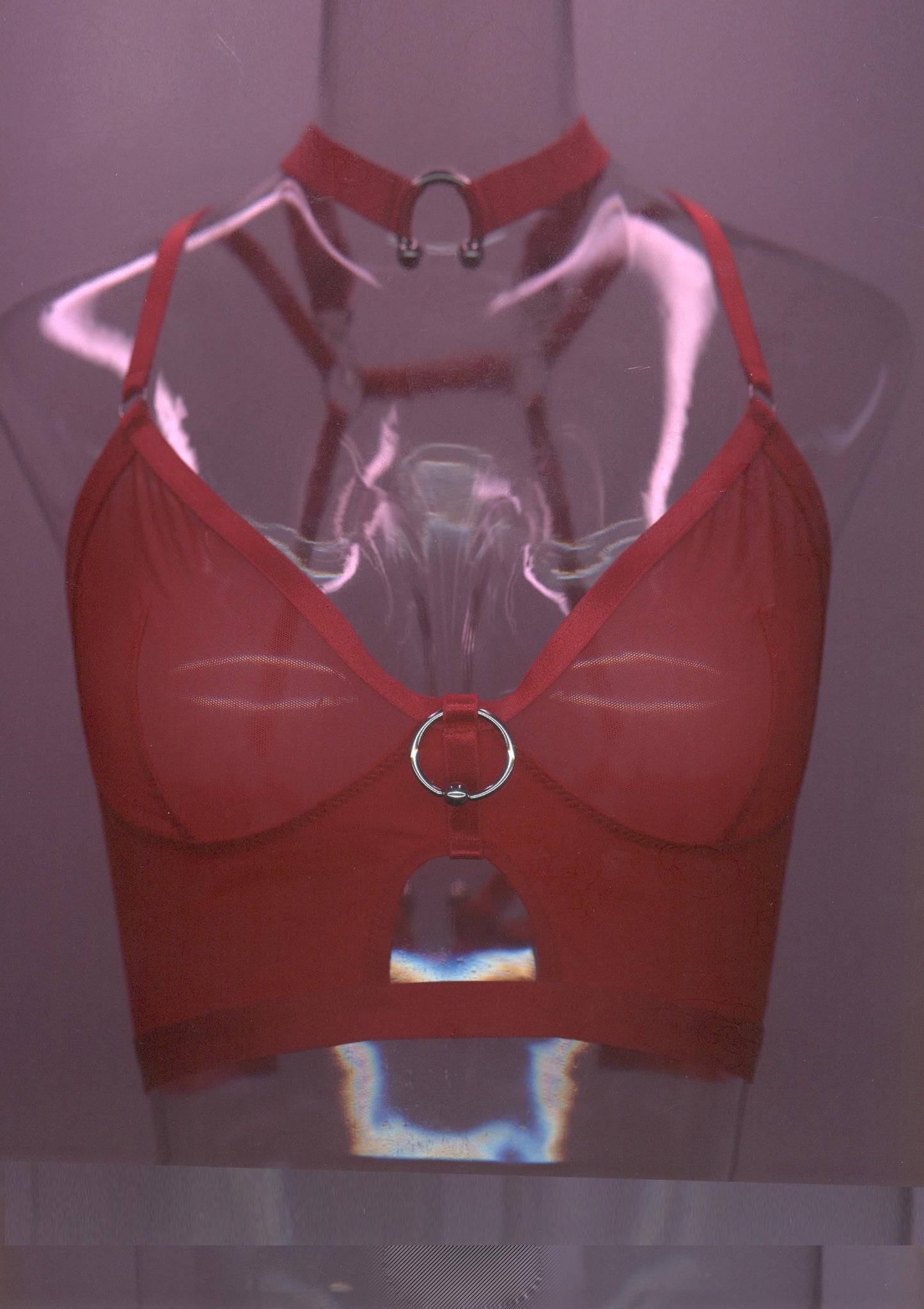 Love Is A Deserter Choker Bralette In Red
